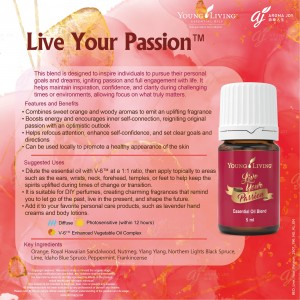 Live Your Passion 活出激情
